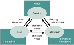 Zusammenhang der Bereiche Individuum, Domäne und Feld